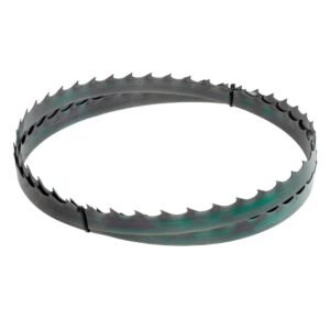 Lame de rechange pour Bernardo BBS 650 3650x34x1,1mm